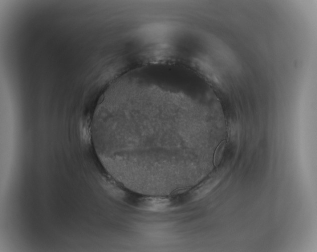 X0000112530719200908241507