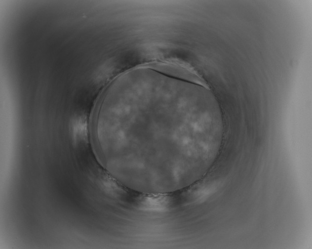 X0000112530720200908241507