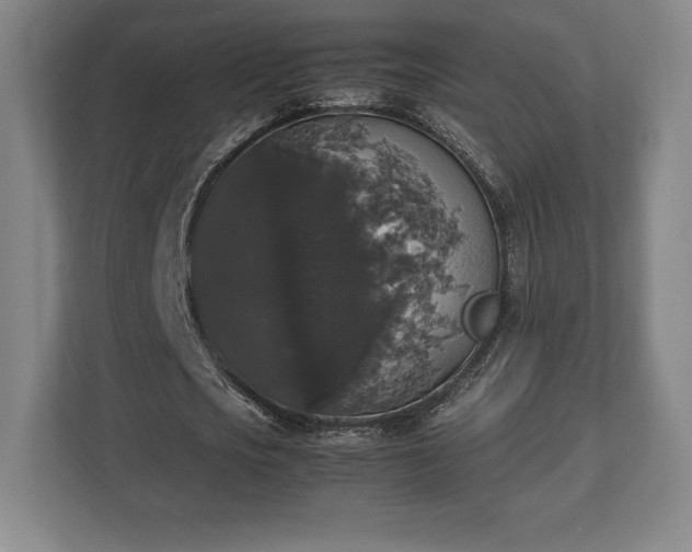 X0000112530721200908241506