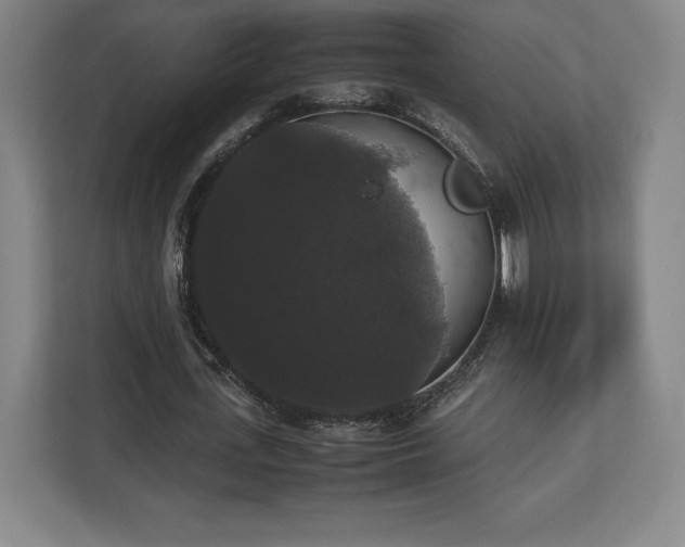 X0000112530723200908241506