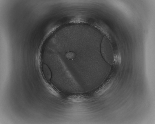 X0000112530724200908241506