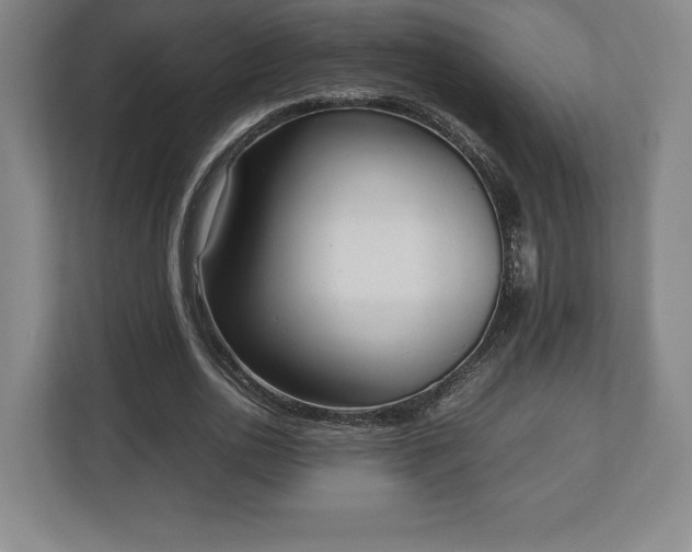 X0000112530726200908241506