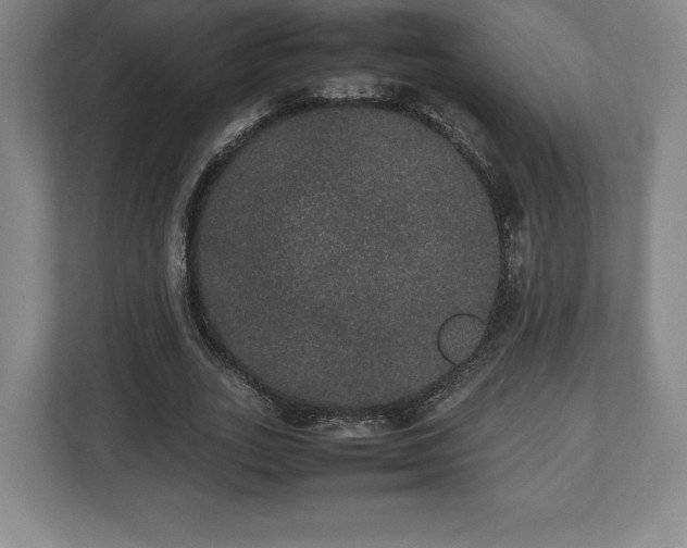 X0000112530727200908241506