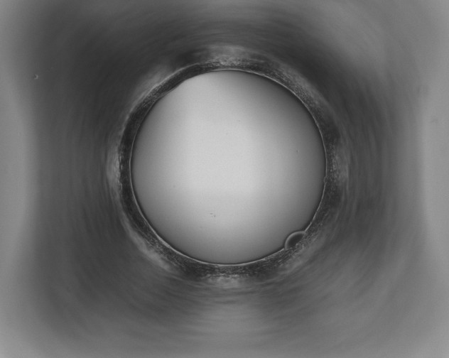 X0000112530730200908241506