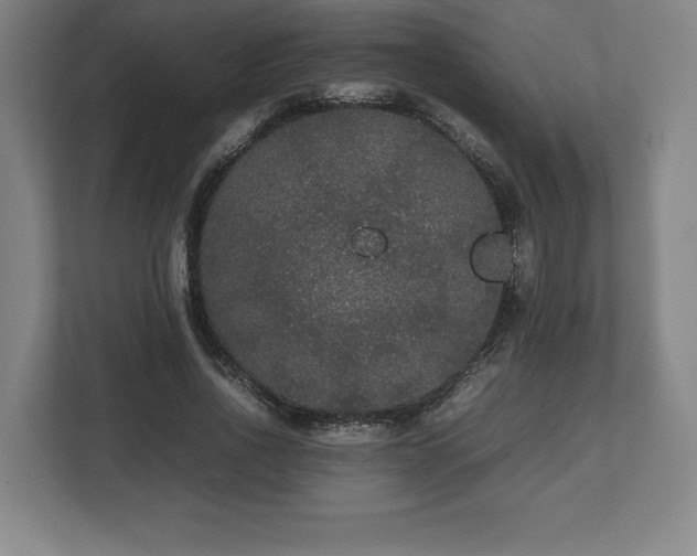 X0000112530734200908241506