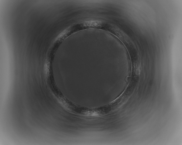 X0000112530735200908241506