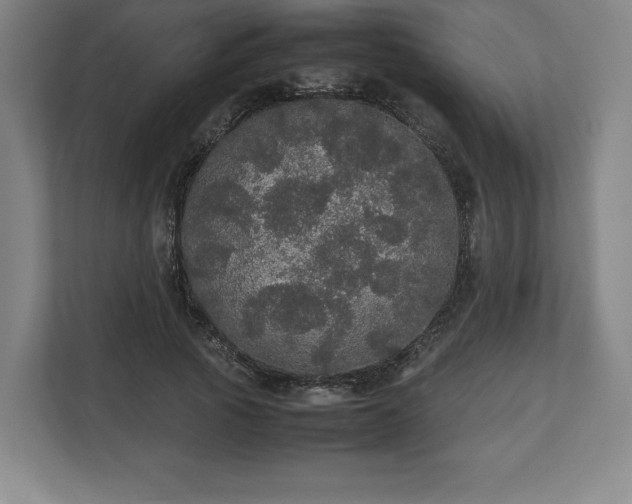 X0000112530737200908241506