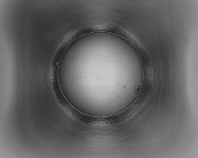 X0000112530738200908241506