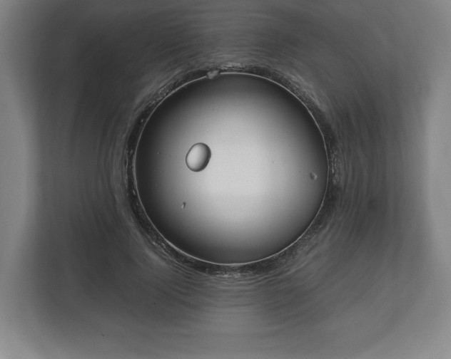 X0000112530740200908241506