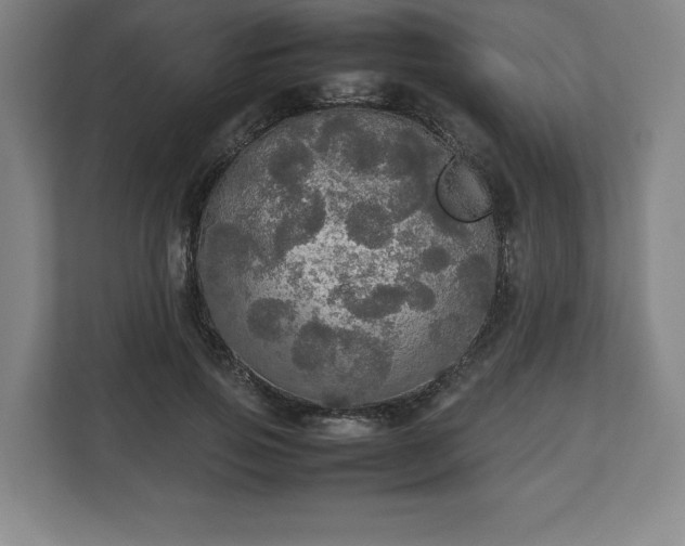 X0000112530741200908241506