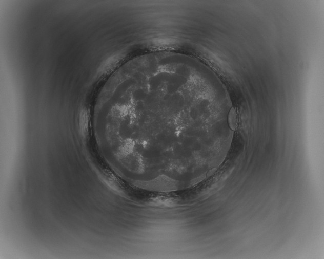 X0000112530742200908241506