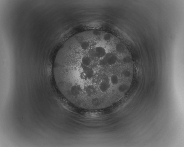 X0000112530745200908241506
