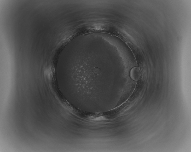X0000112530747200908241506