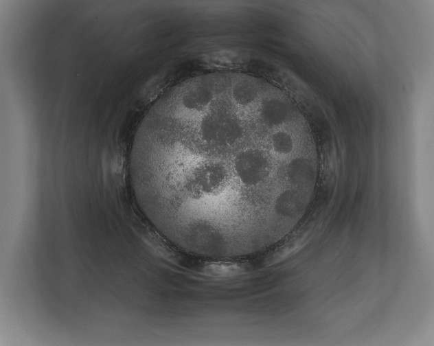 X0000112530749200908241506