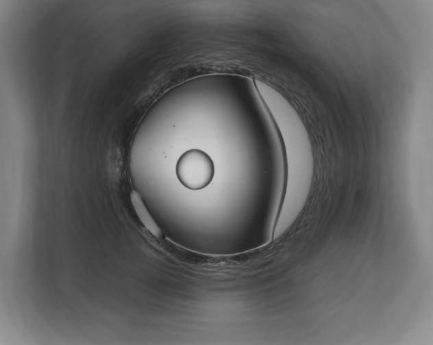 X0000112530752200908241506