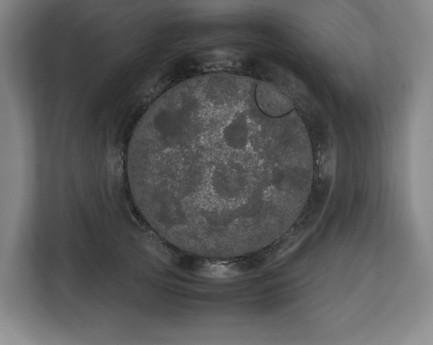 X0000112530753200908241506