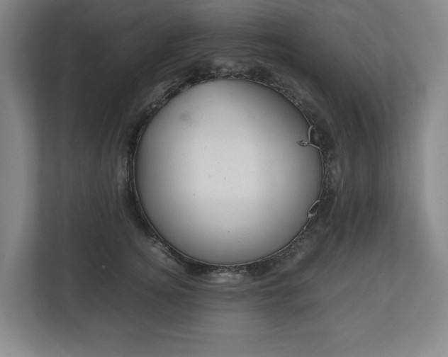 X0000112530756200908241506