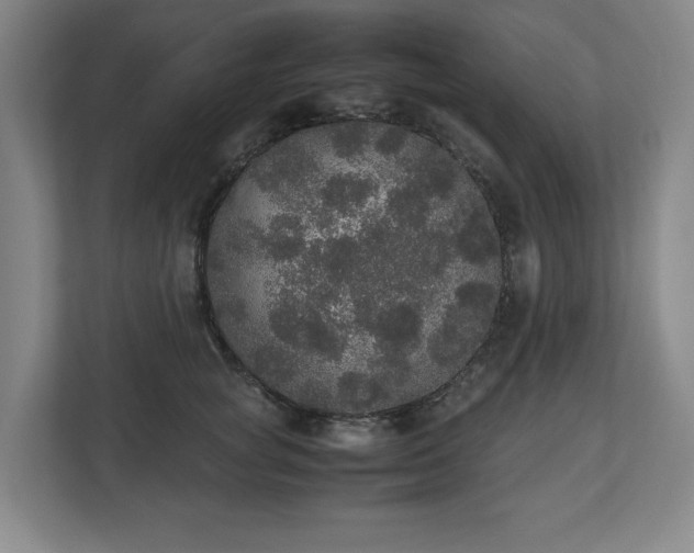 X0000112530757200908241506