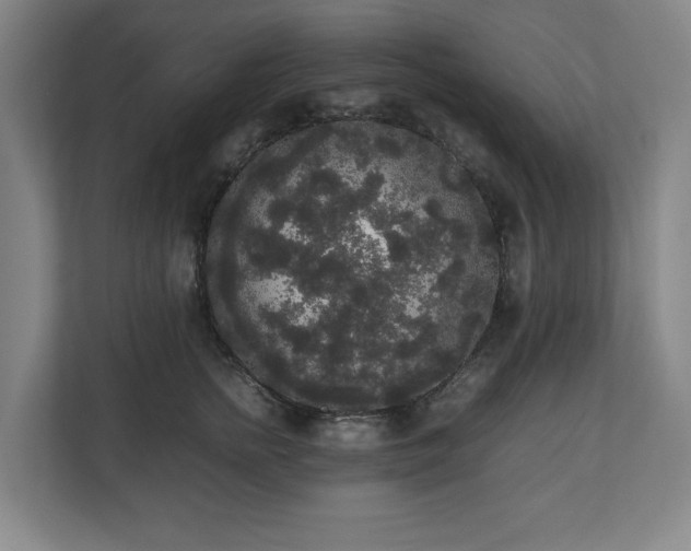 X0000112530758200908241506