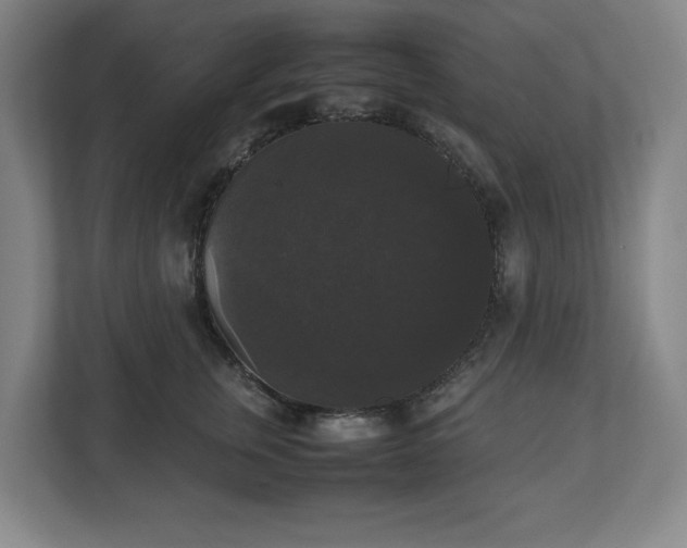 X0000112530759200908241506