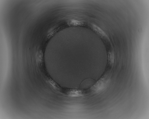 X0000112530760200908241506