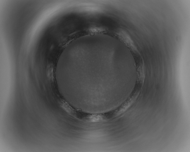 X0000112530762200908241506
