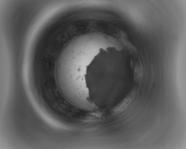X0000112530765200908241506