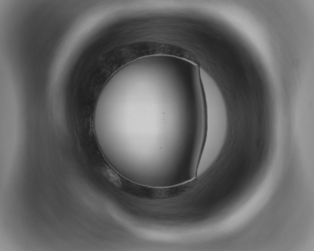 X0000112530766200908241506