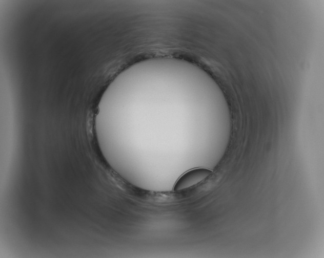 X0000112530768200908241507