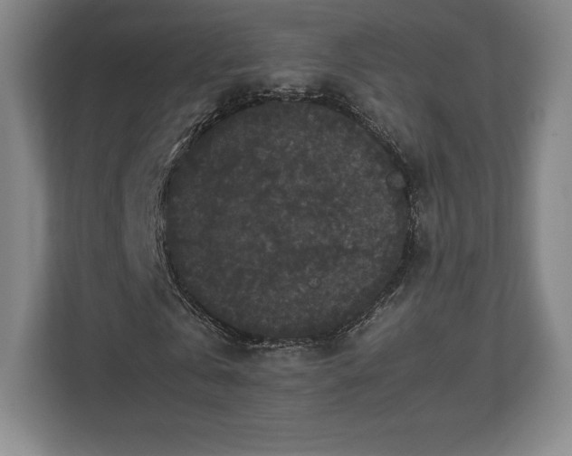 X0000112530769200908241506