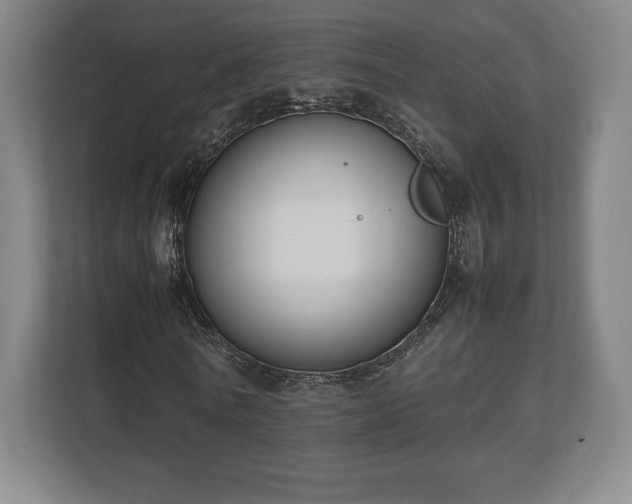 X0000112530770200908241506