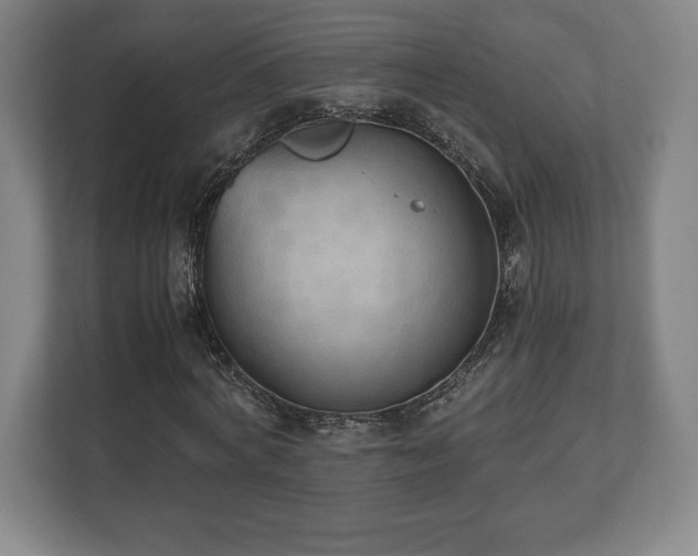 X0000112530772200908241506
