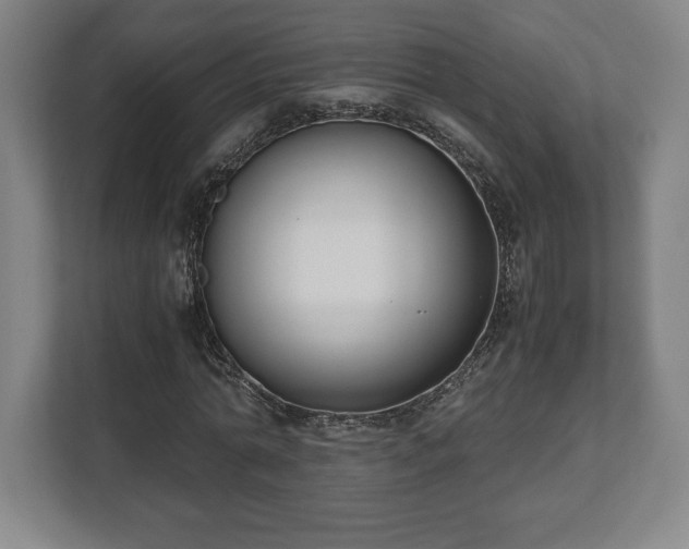 X0000112530774200908241506