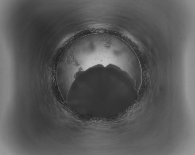 X0000112530775200908241506