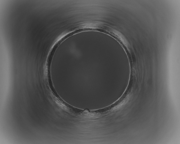 X0000112530779200908241506