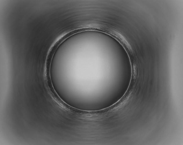 X0000112530780200908241506