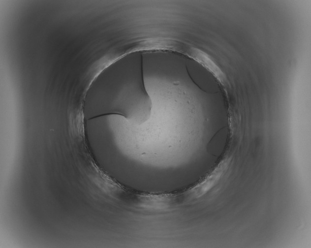 X0000112530781200908241506