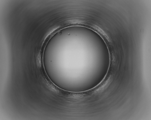 X0000112530782200908241506