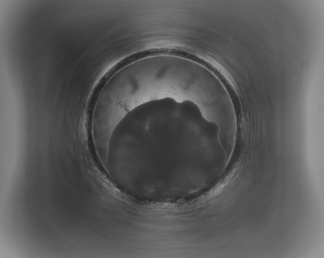 X0000112530783200908241506