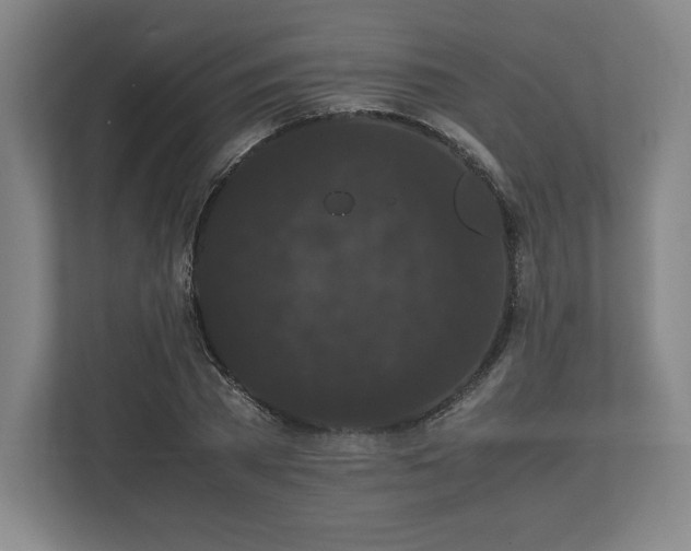 X0000112530785200908241506