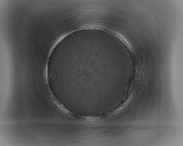 X0000112530788200908241506