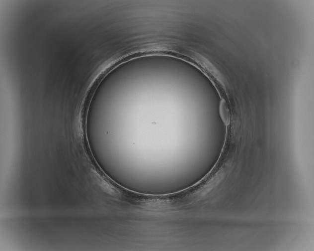 X0000112530789200908241506