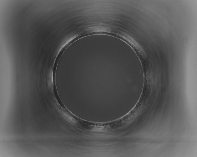 X0000112530790200908241506