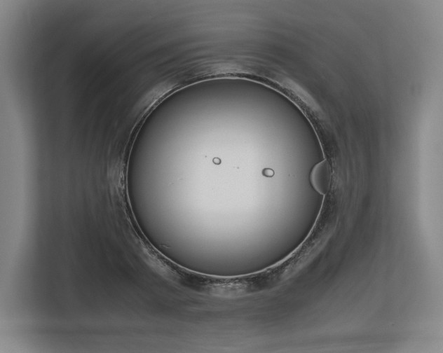 X0000112530793200908241506