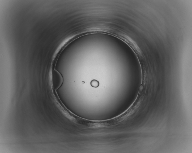 X0000112530796200908241506