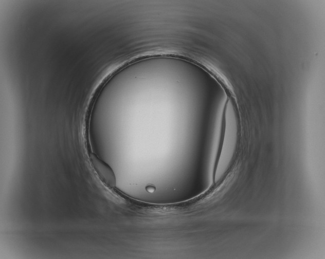 X0000112530797200908241506