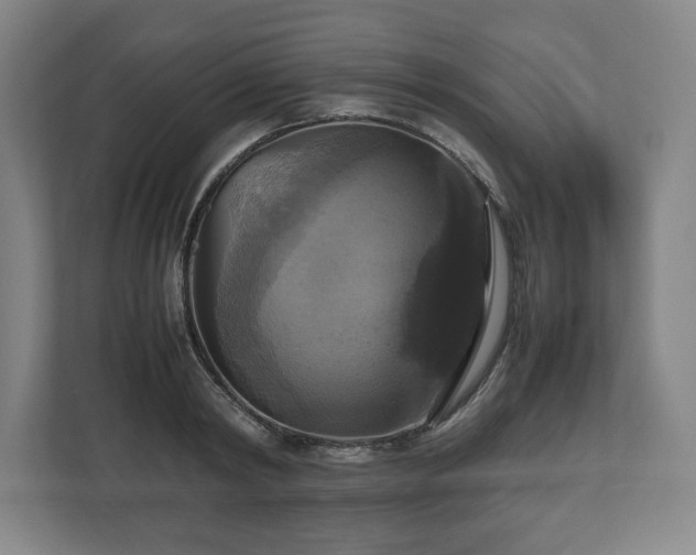 X0000112530798200908241505