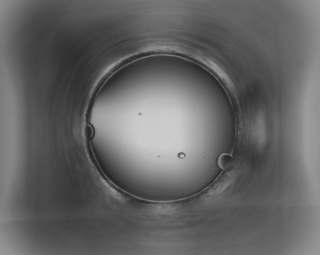 X0000112530799200908241505