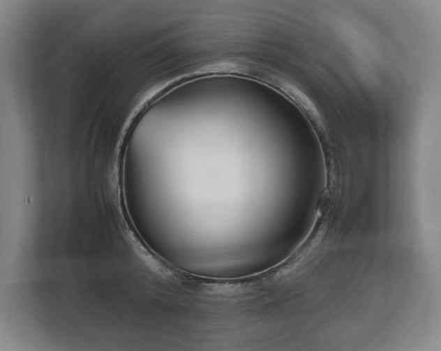 X0000112530800200908241505