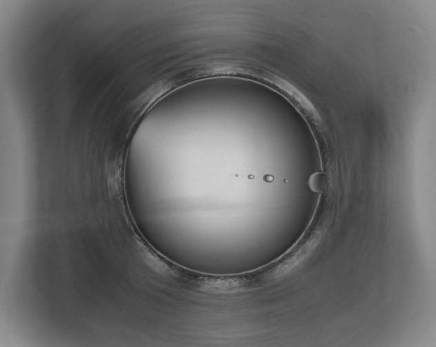 X0000112530801200908241505